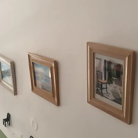 Adorable Oasis نافبليو